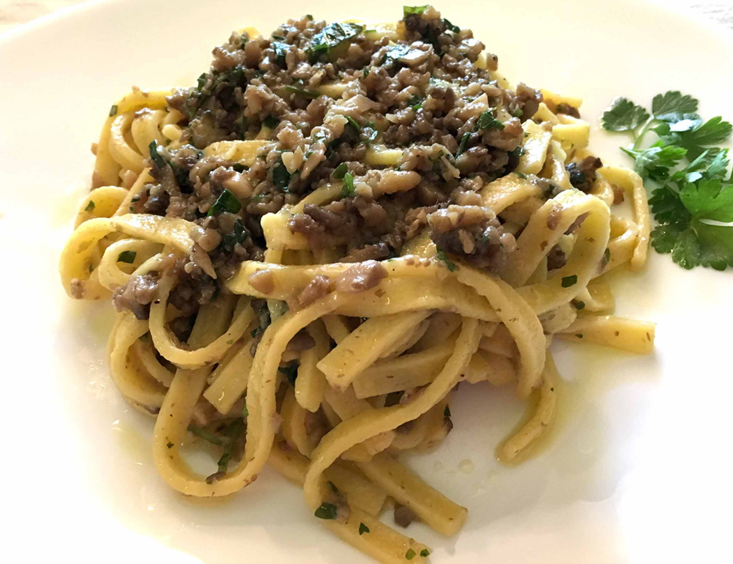 Mushroom Pasta Sauce Recipe