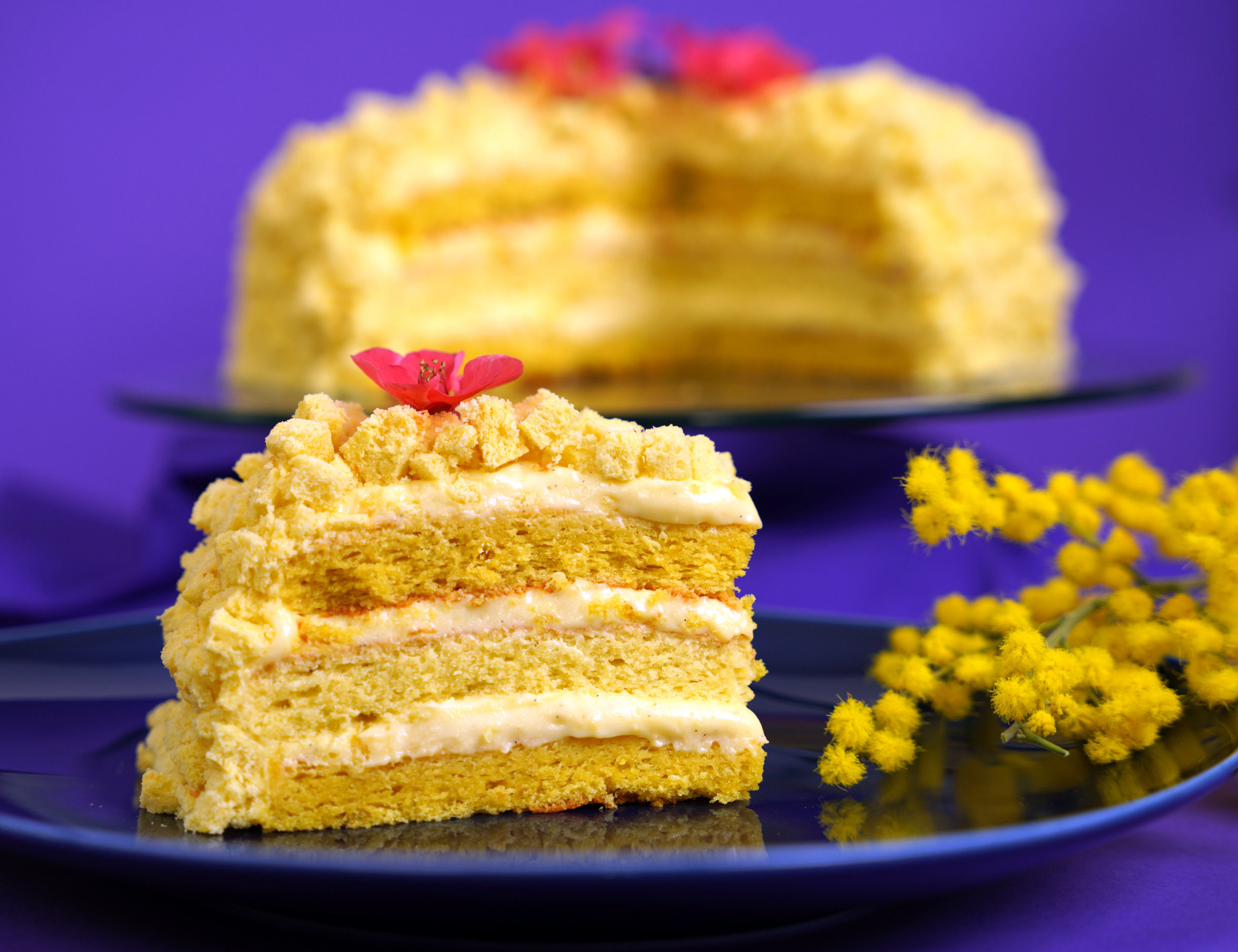 Italian Lemon Cake (Torta Mimosa) Slice