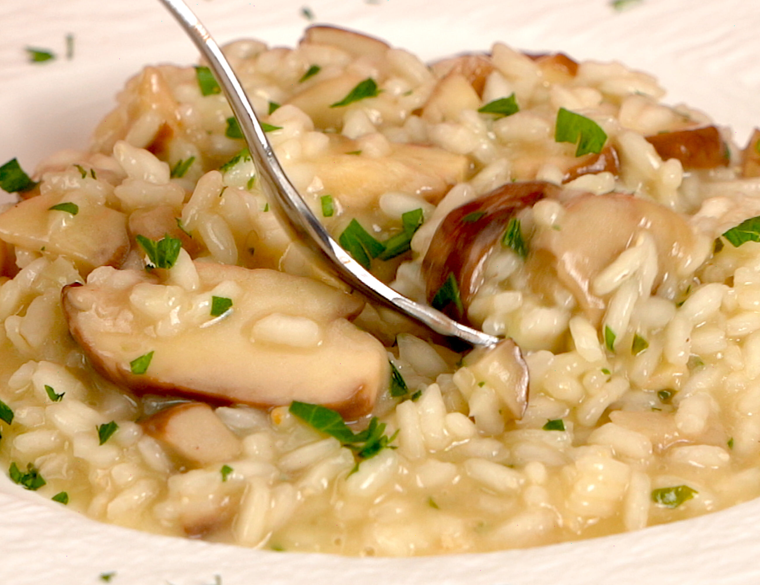 Porcini Mushroom Risotto Recipe