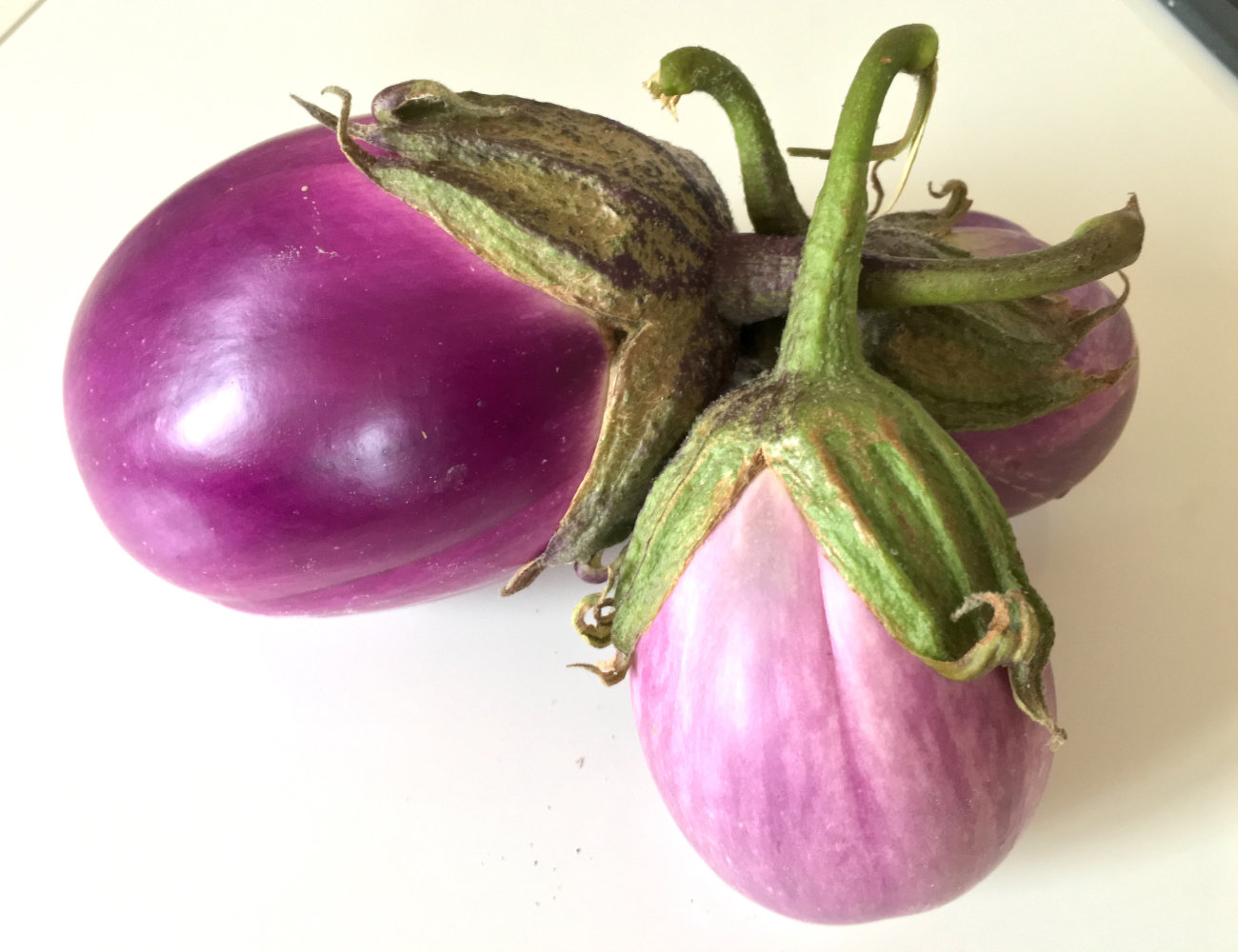 Stop Eating Bitter Eggplants! Selecting & Cooking Eggplants