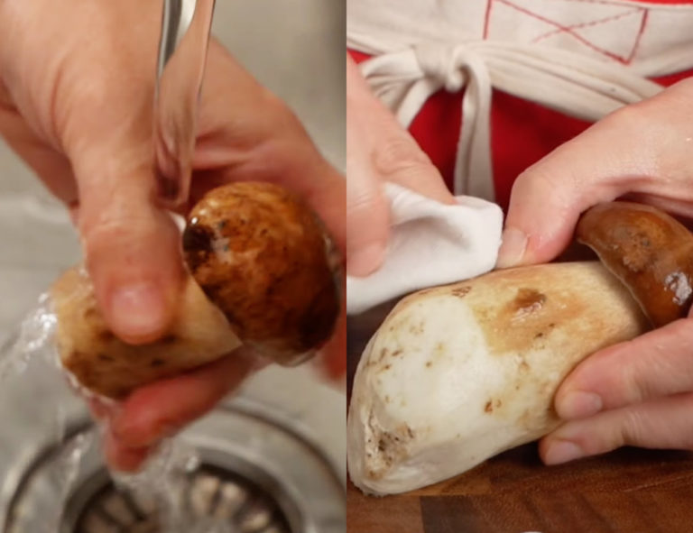 How to Clean Mushrooms Button, Porcini and More!