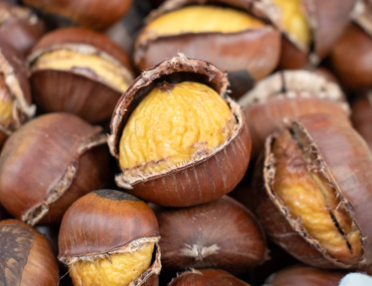 Castagne al Forno (Chestnut Roasting) Hero 1